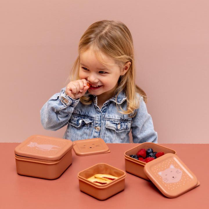 Set x3 fiambreras infantiles Cats Trixie - Nanetes